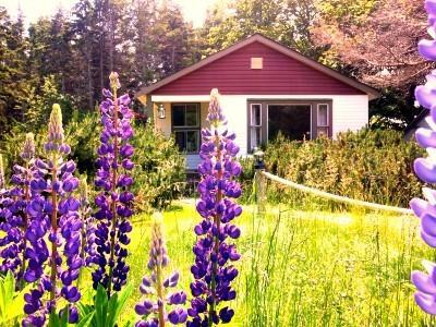 Goodview Cottages By Stanhope Beach Pei For Adults Only Екстериор снимка