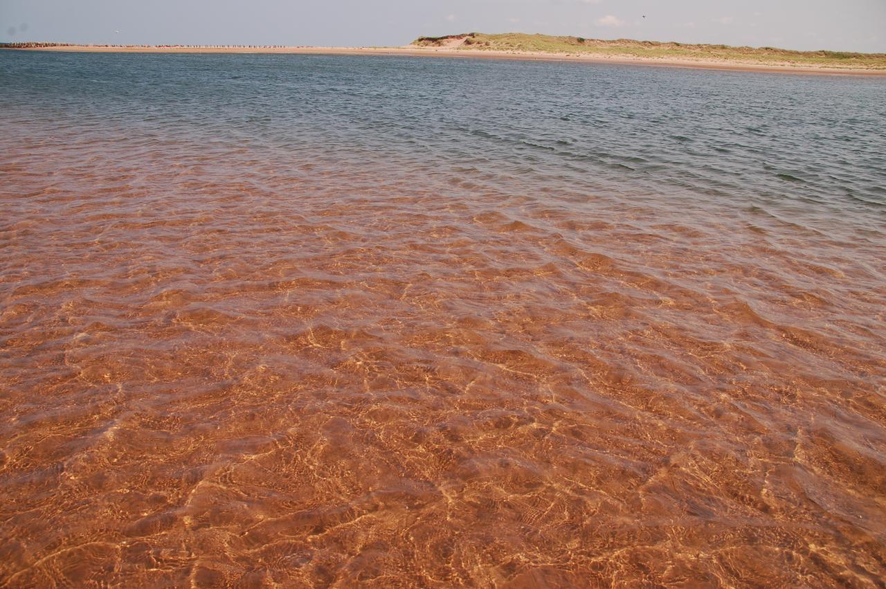 Goodview Cottages By Stanhope Beach Pei For Adults Only Екстериор снимка