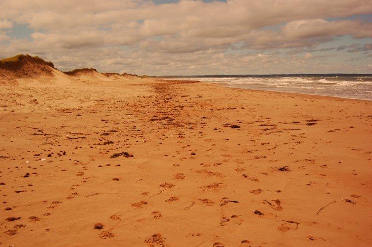 Goodview Cottages By Stanhope Beach Pei For Adults Only Екстериор снимка